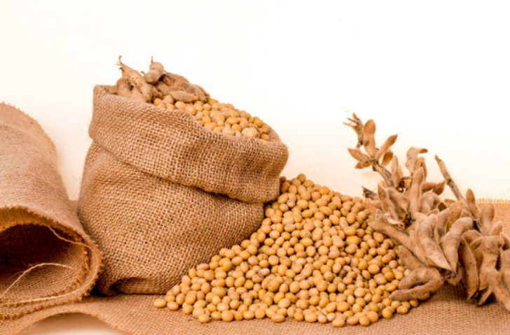 En güçlü D vitamini kaynağı! Diyabete ve tehlikeli hastalıklara karşı savaş açıyor G5