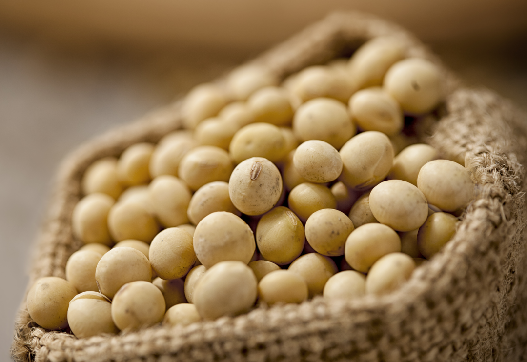 Kanser tedavisinde mucizevi etkili, diyabet d&uuml;şmanı! Kendi k&uuml;&ccedil;&uuml;k ama etkisi b&uuml;y&uuml;k