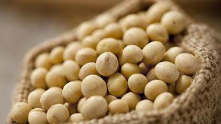 Kanser tedavisinde mucizevi etkili, diyabet düşmanı! Kendi küçük ama etkisi büyük