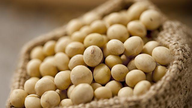 Kanser tedavisinde mucizevi etkili, diyabet düşmanı! Kendi küçük ama etkisi büyük