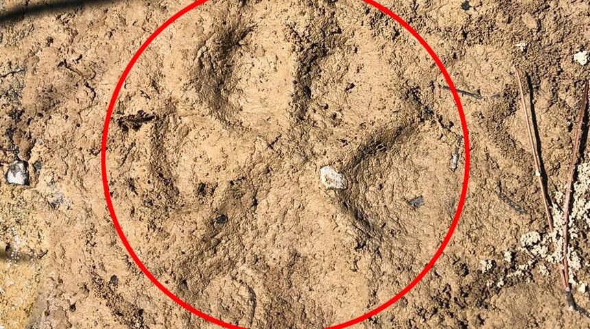 Aradan bir yıl ge&ccedil;ti... S&uuml;rpriz gelişme! İzine rastlandı