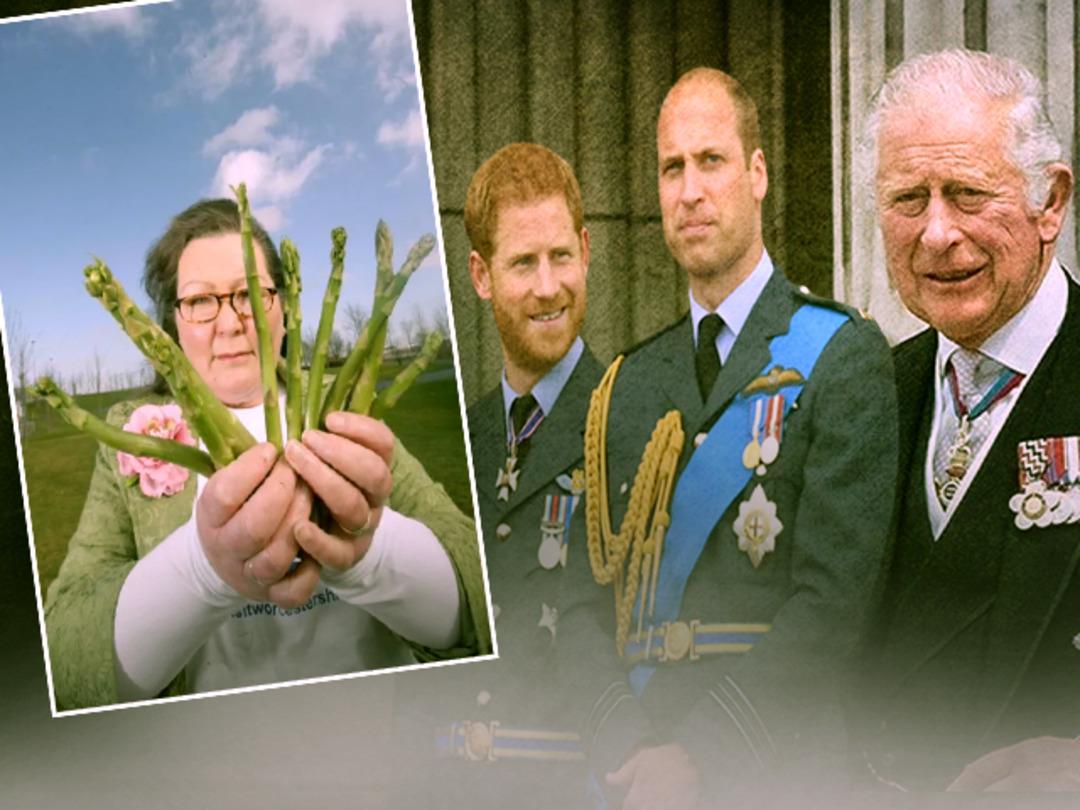 Kuşkonmazlara bakarak geleceği tahmin eden kahin Jemima Packington, Krali&ccedil;e&rsquo;nin &ouml;l&uuml;m&uuml;n&uuml; bilmişti! Yeni kehanetleri g&uuml;ndem oldu