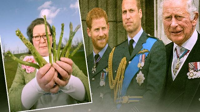 Kuşkonmazlara bakarak geleceği tahmin eden kahin Jemima Packington, Kraliçe’nin ölümünü bilmişti! Yeni kehanetleri gündem oldu