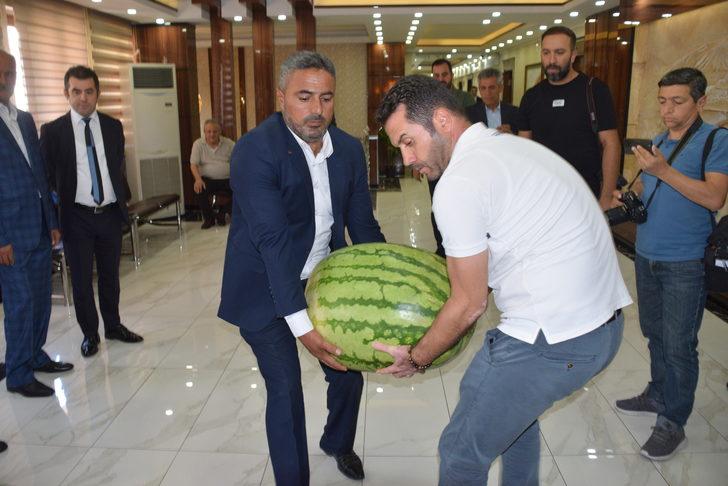 Batmanlı çiftçinin yetiştirdiği 53 kilo 300 gramlık karpuz fuarda sergilenecek G2