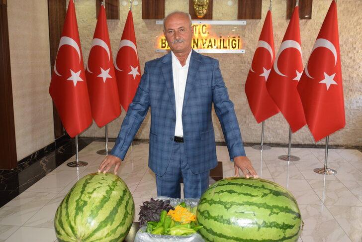 Batmanlı çiftçinin yetiştirdiği 53 kilo 300 gramlık karpuz fuarda sergilenecek G5