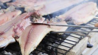 Kışın hastalık görmek istemiyorsanız bu balığı yiyin: İyi gelmediği hastalık yok