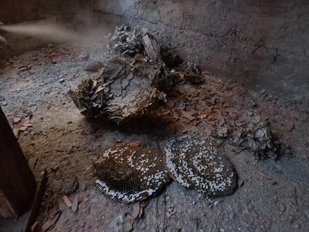 Bolu'da tadilatta olan okulun &ccedil;atısındaki arı yuvaları ekiplerce temizlendi