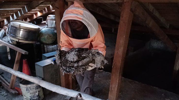 Bolu'da tadilatta olan okulun çatısındaki arı yuvaları ekiplerce temizlendi G2