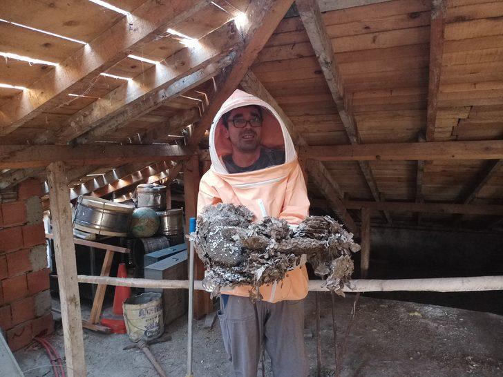 Bolu'da tadilatta olan okulun çatısındaki arı yuvaları ekiplerce temizlendi G3