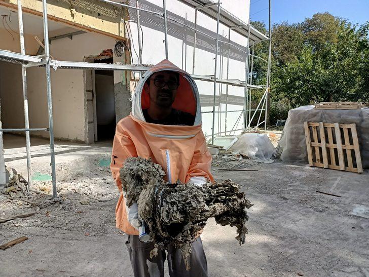 Bolu'da tadilatta olan okulun çatısındaki arı yuvaları ekiplerce temizlendi G4
