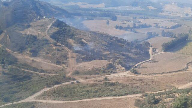 GÜNCELLEME - Adana'da çıkan orman yangını kontrol altına alındı