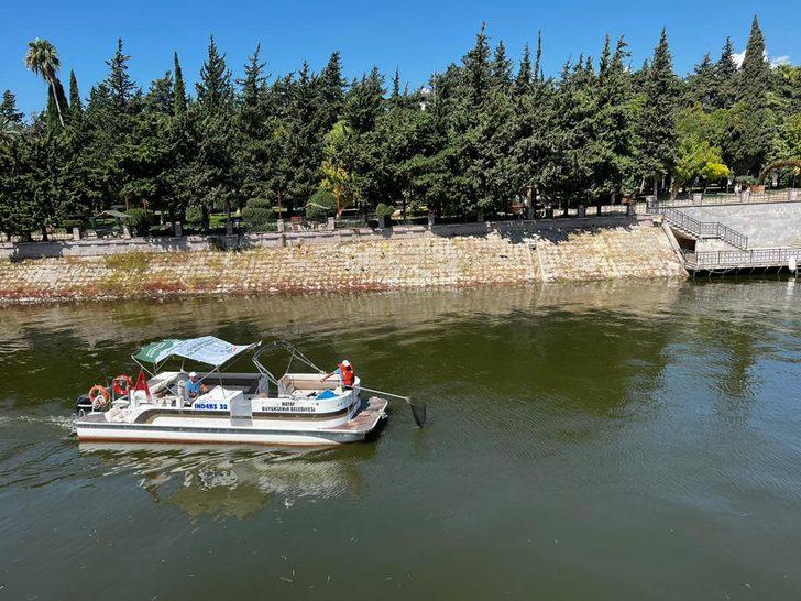 Hatay'da Asi Nehri'ni kaplayan su sümbülleri temizleniyor G1