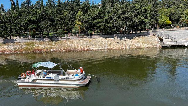 Hatay'da Asi Nehri'ni kaplayan su sümbülleri temizleniyor