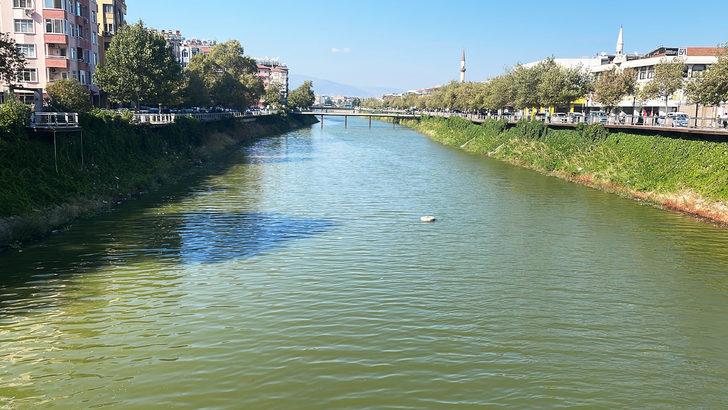 Hatay'da Asi Nehri'ni kaplayan su sümbülleri temizleniyor G3
