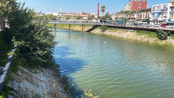 Hatay'da Asi Nehri'ni kaplayan su sümbülleri temizleniyor G5