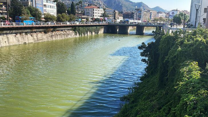 Hatay'da Asi Nehri'ni kaplayan su sümbülleri temizleniyor G4