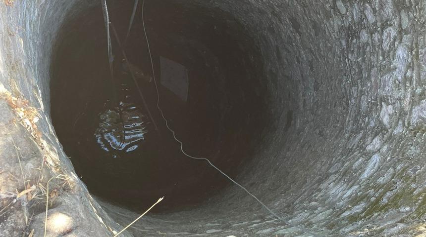 Bodrum'da su kuyusuna düşen buzağı kurtarıldı