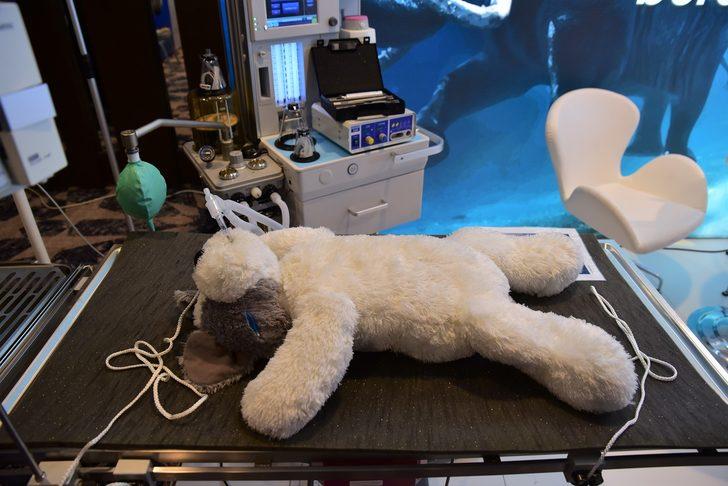 Samsun'da "Veteriner Cerrahi Kongresi" G2