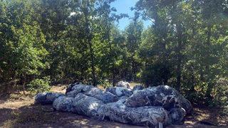 Ormana atık bırakan tekstil firmasına dudak uçuklatan ceza!