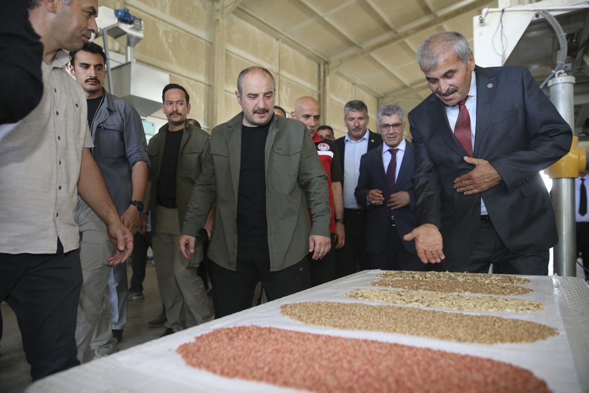 Bakanlar Varank ile Kirişci, Şerefliko&ccedil;hisar'da tohum eleme tesisini ziyaret etti