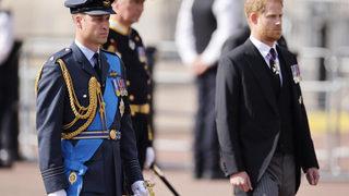 İki yıl sonra ilk olacak! Prens Harry askeri üniforma giyecek