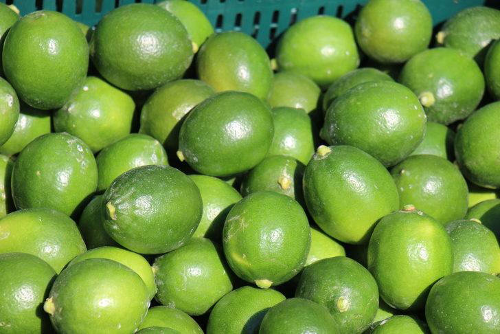 Mersin'de erkenci limonun hasadı başladı G1