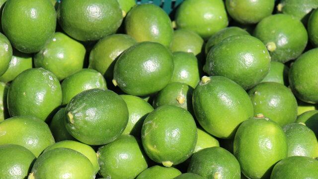 Mersin'de erkenci limonun hasadı başladı