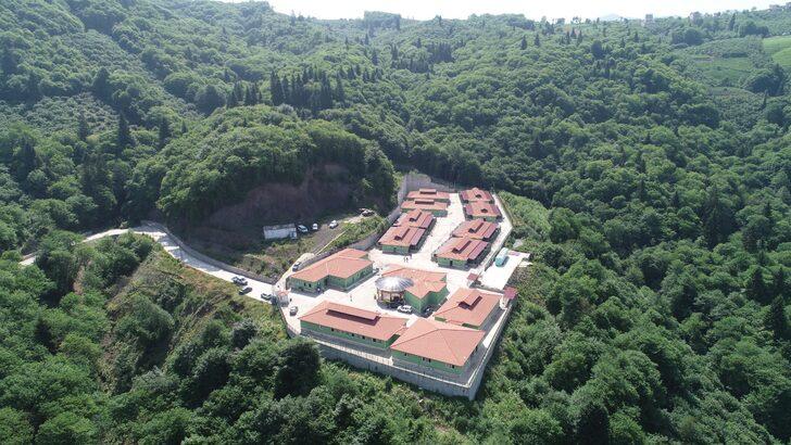 Trabzon'da son bir yılda sahipsiz 3 bin 317 köpek ve bin 332 kedi kısırlaştırıldı G4