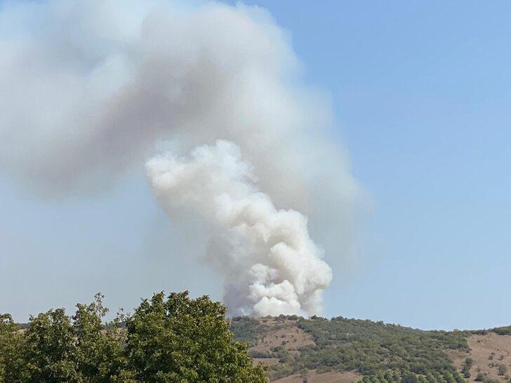 GÜNCELLEME - Balıkesir'de çıkan orman yangınına müdahale ediliyor G5