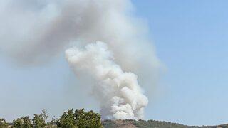 Balıkesir'de çıkan orman yangınına müdahale ediliyor