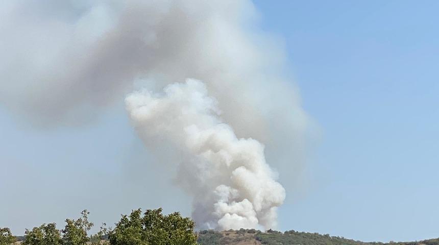 Balıkesir'de çıkan orman yangınına müdahale ediliyor