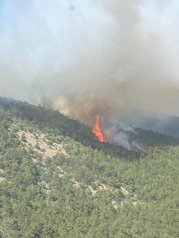 Eskişehir'de çıkan orman yangınına müdahale ediliyor G2