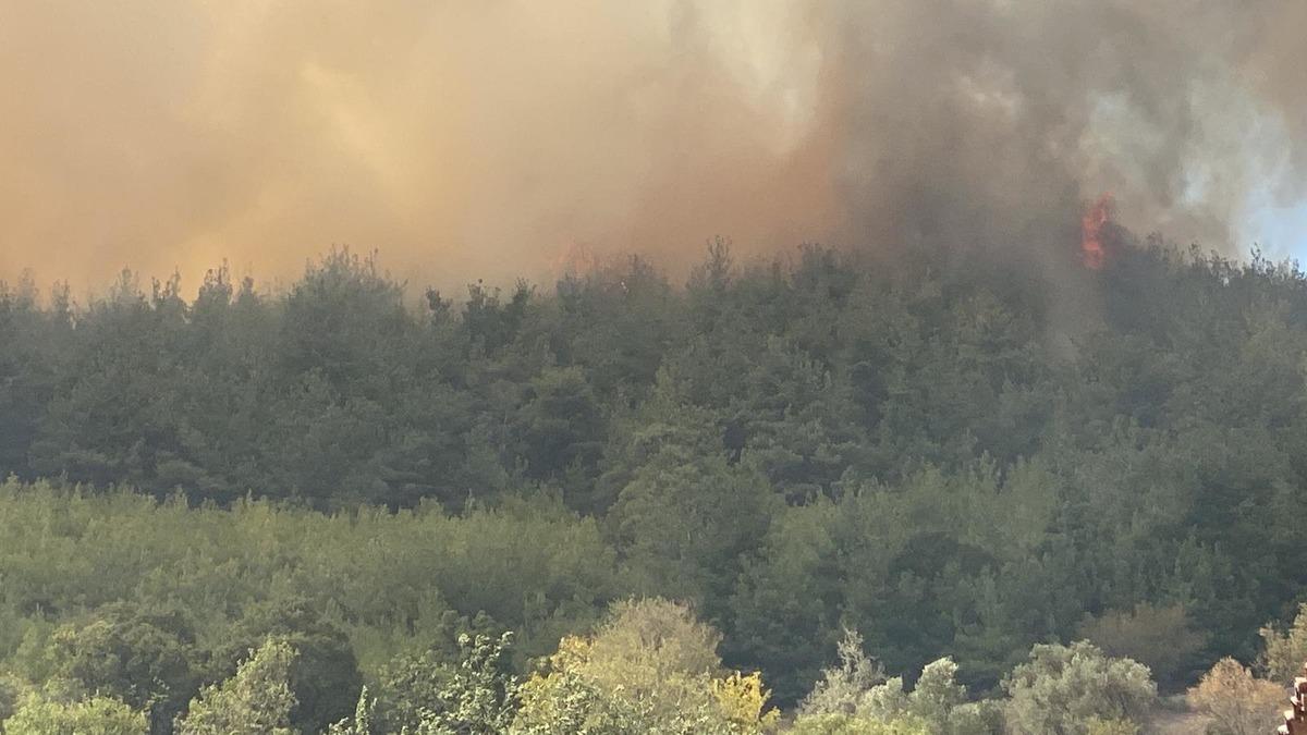 G&Uuml;NCELLEME - Balıkesir'de &ccedil;ıkan orman yangınına m&uuml;dahale ediliyor