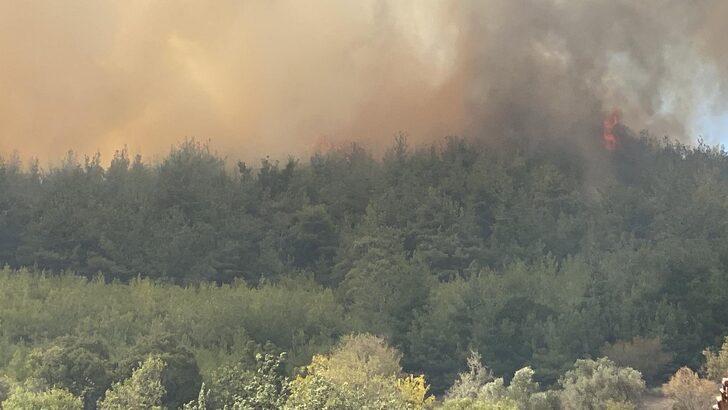 Aile ve Sosyal Hizmetler Bakanı Yanık, Tekirdağ'daki fabrikada kadınlarla bir araya geldi G3