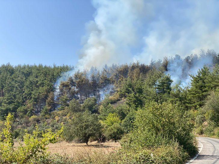 GÜNCELLEME - Balıkesir'de çıkan orman yangınına müdahale ediliyor G4