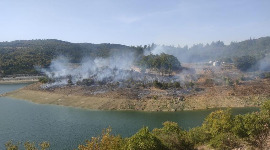Bursa'da çıkan orman yangını kontrol altına alındı