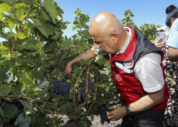 Tarım ve Orman Bakanı Kirişci Kalecik Karası Üzüm Festivali'ne katıldı G2