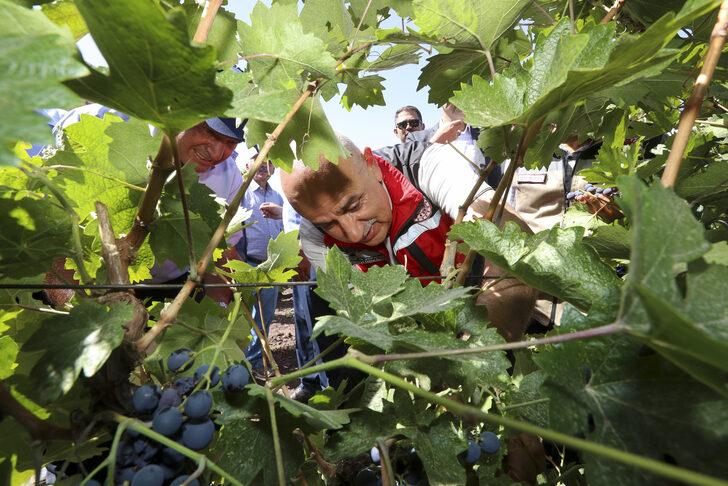Tarım ve Orman Bakanı Kirişci Kalecik Karası Üzüm Festivali'ne katıldı G3