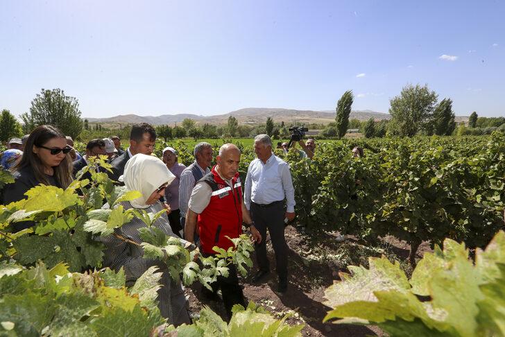 Tarım ve Orman Bakanı Kirişci Kalecik Karası Üzüm Festivali'ne katıldı G4