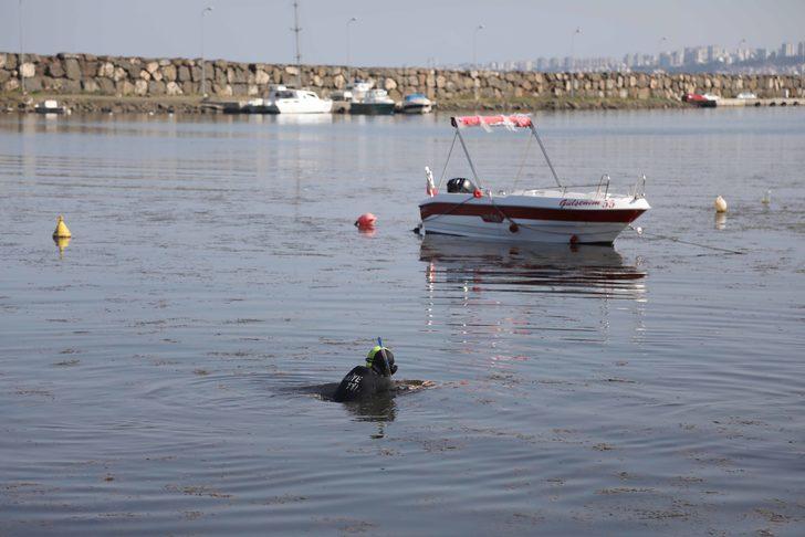Dünya Temizlik Günü kapsamında Samsun'da deniz ve sahilde temizlik yapıldı G1