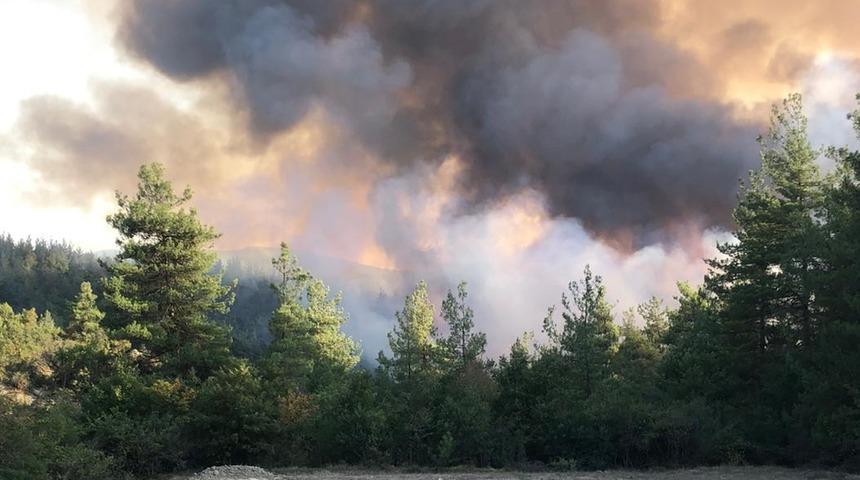 Bursa'da çıkan orman yangınına müdahale ediliyor
