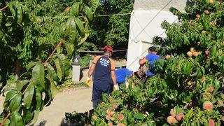 Aksaray'da su kuyusuna düşen kişi hayatını kaybetti