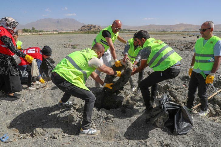 Dünya Temizlik Günü'nde Van Gölü sahilinde çöp toplandı G1