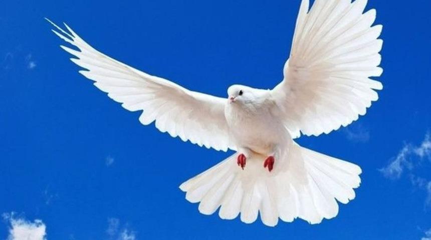 Milli Piyango 19 Eylül 2016 sonuçları açıklandı