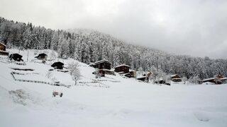 Ayder Yaylası’nda karda kartpostallık görüntüler