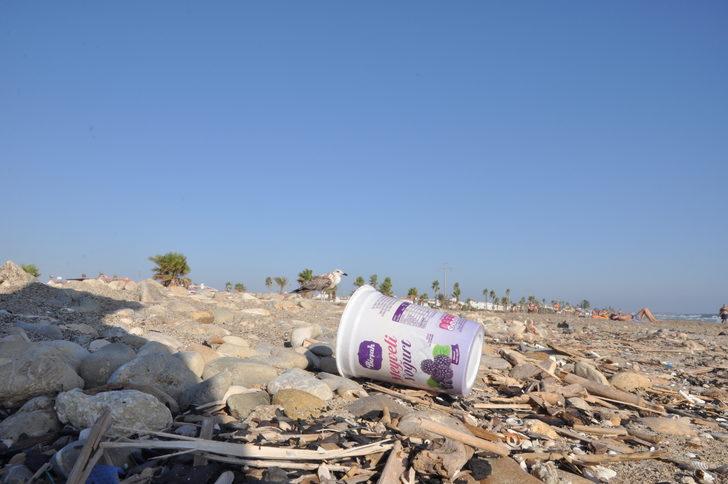 Mersin'de deniz kaplumbağalarının yuva yaptığı kumsal temizlendi G4