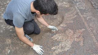 Balatlar Yapı Topluluğu'nda Helenistik Döneme ait yeni mozaiklere ulaşıldı