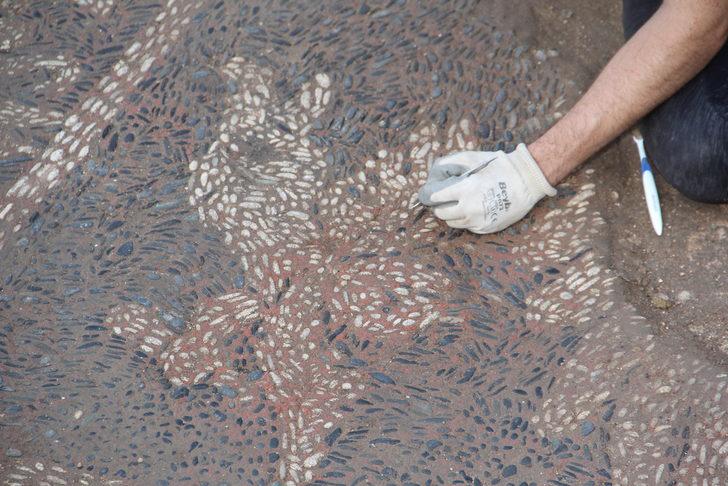 Balatlar Yapı Topluluğu'nda Helenistik Döneme ait yeni mozaiklere ulaşıldı G5