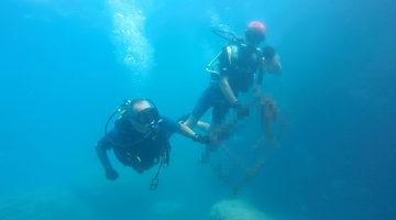 D&uuml;nya Temizlik G&uuml;n&uuml;'nde denizden &ouml;yle bir şey &ccedil;ıktı ki! Şaşkınlık yarattı