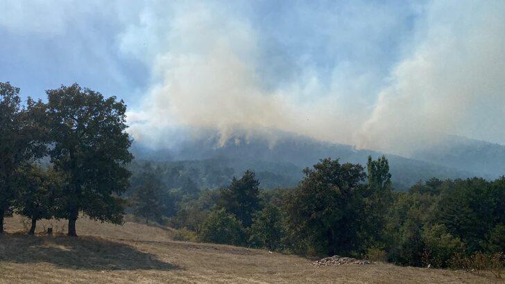 Eskişehir'de çıkan orman yangını söndürüldü G3